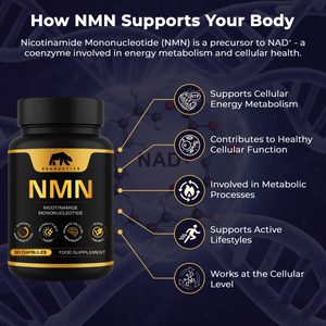 NMN Nicotinamide Mononucleotide 30 Capsules