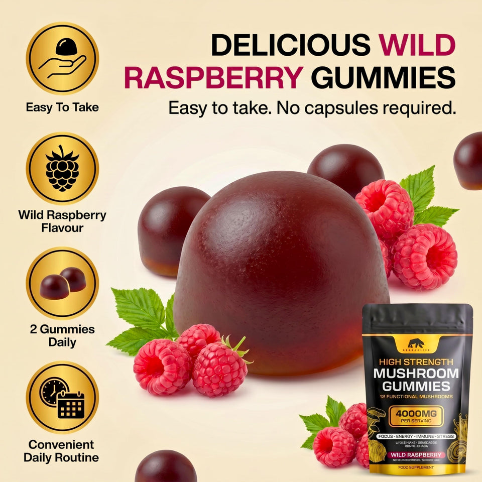 Bearactive Mushroom Gummies