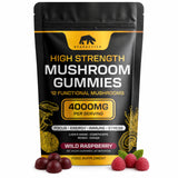 Bearactive Mushroom Gummies