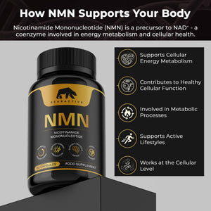 NMN Nicotinamide Mononucleotide 30 Capsules