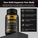 NMN Nicotinamide Mononucleotide 30 Capsules