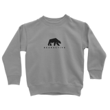 Grey Kids Sweatshirt